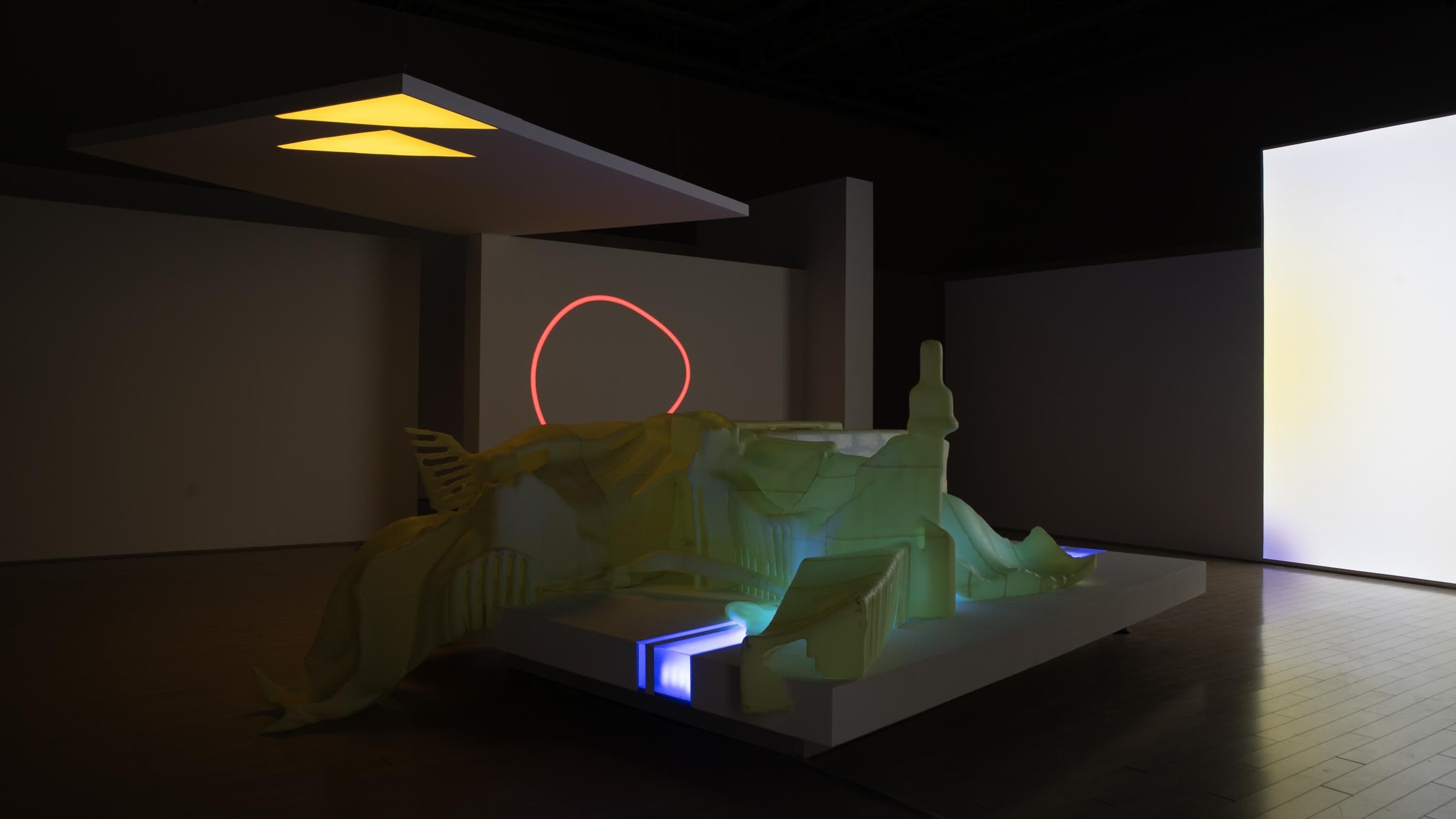 HOL Platform image